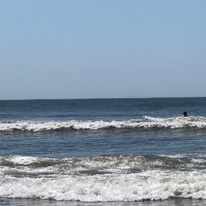 Meet your Posher, Suzanne